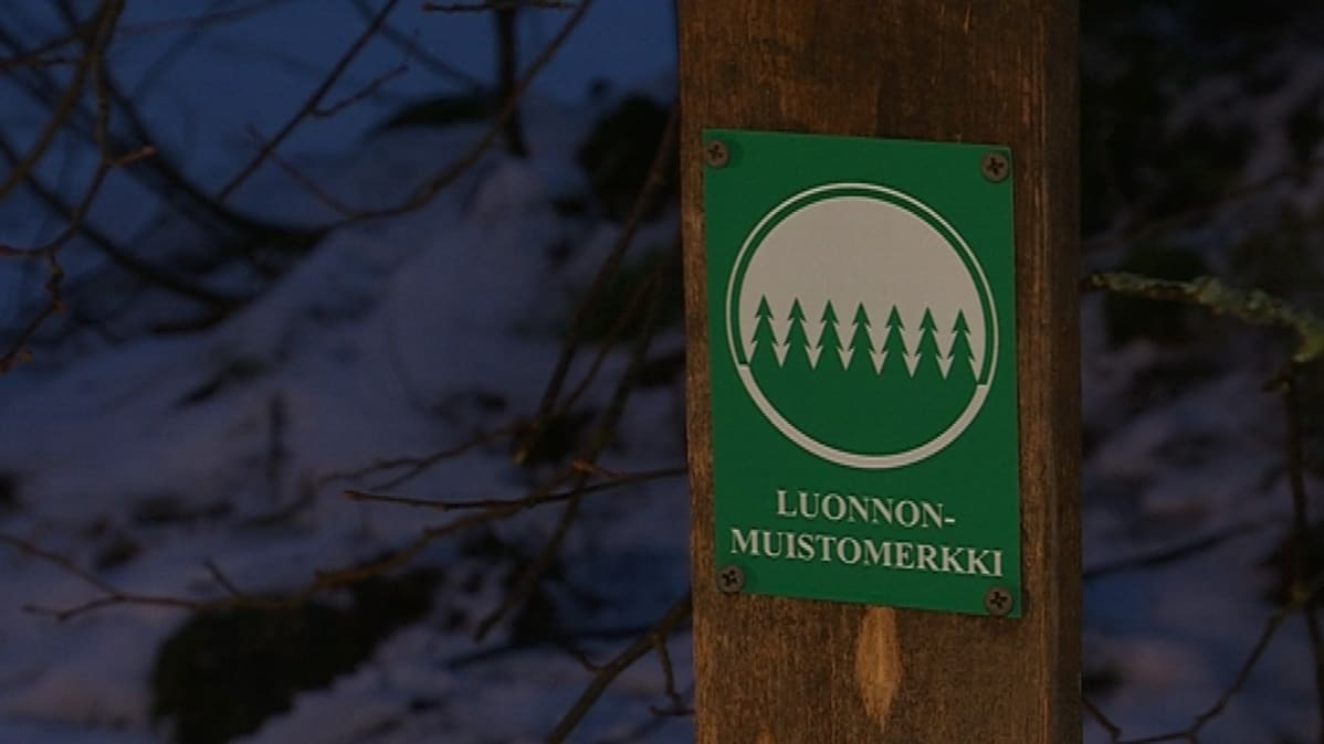 Luonnonmuistomerkkiä osoittava kyltti