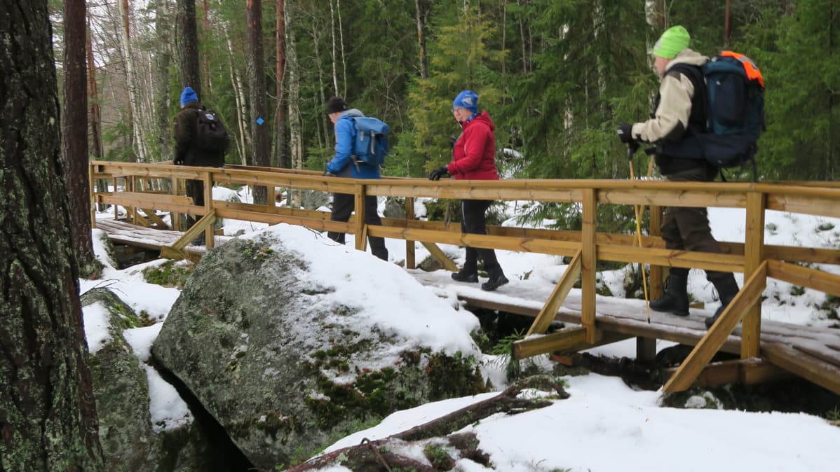 Vammalan retkeilijät Ritajärven luonnonsuojelualueella