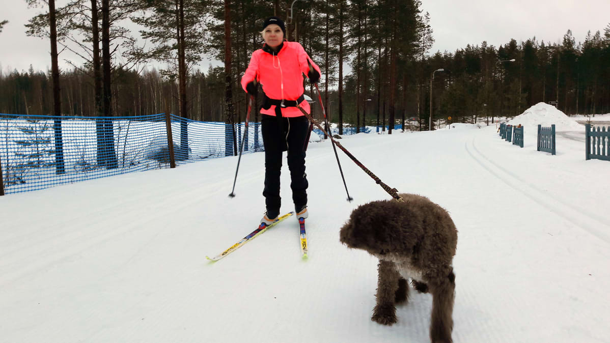 Nainen hiihtää koiran kanssa ladulla.