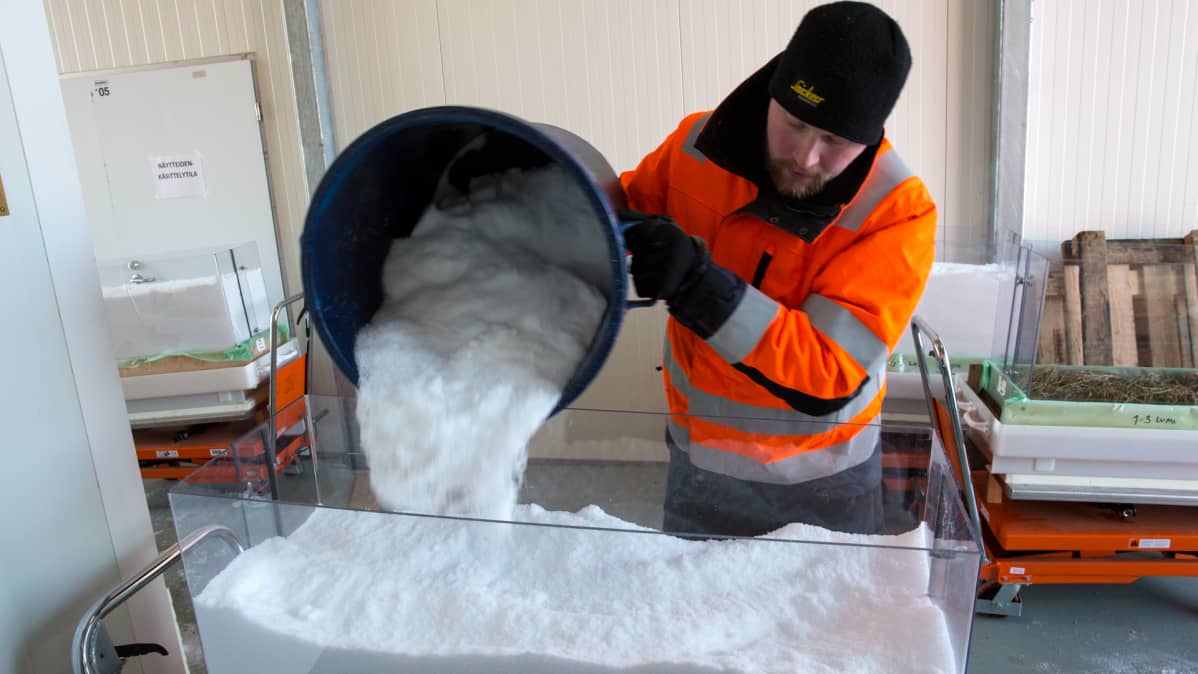 Tutkija peittää nurmilaattaa lumella.