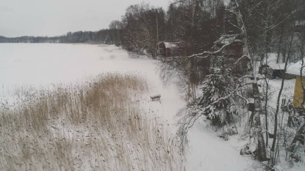 Lehijärven rantaa