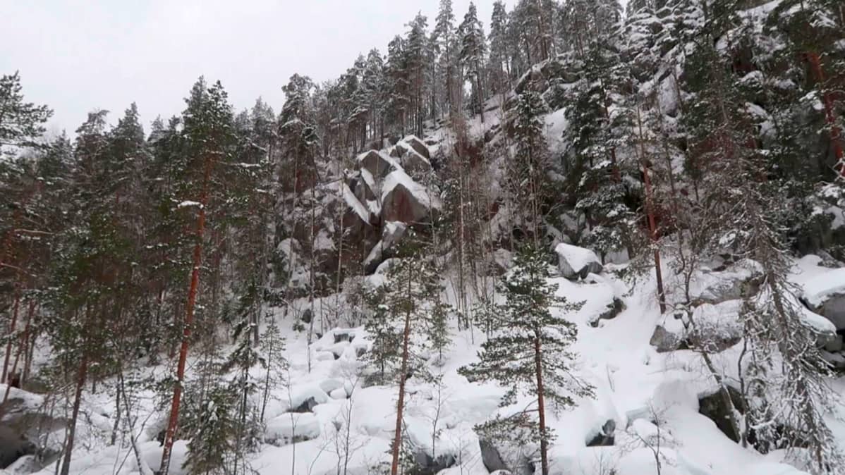 Etelä-Konneveden kansallispuiston maisemat ovat monin paikoin särmikkäät.