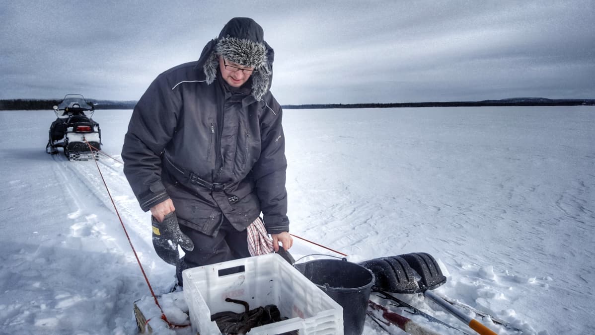 Kuusamolainen kalastaja Juha Korhonen tarkastaa madesaalista.