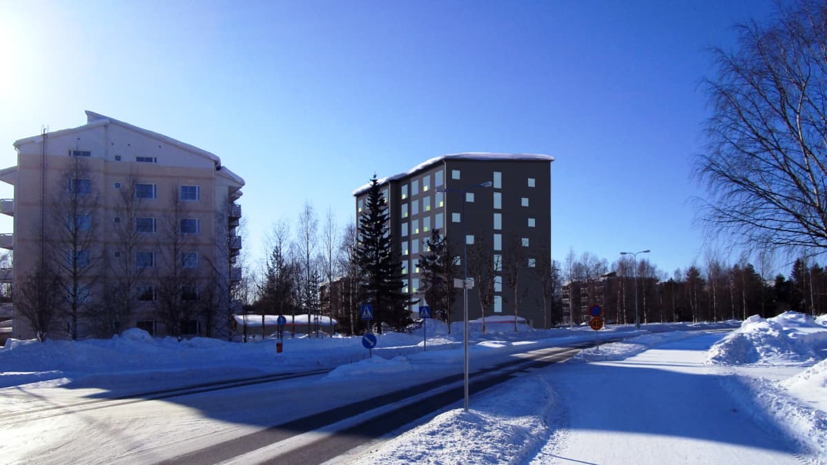 Puukerrostalon havainnekuva