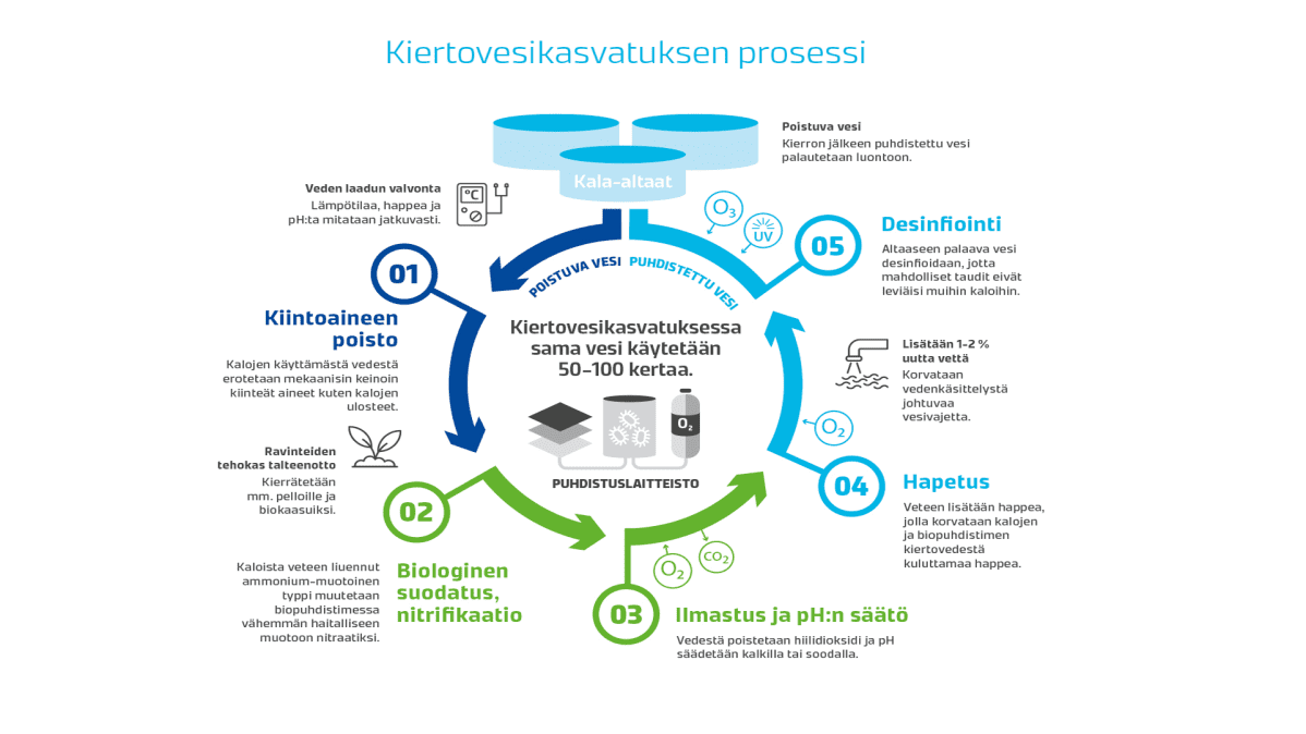 Kiertovesikasvatusta esittävä grafiikka