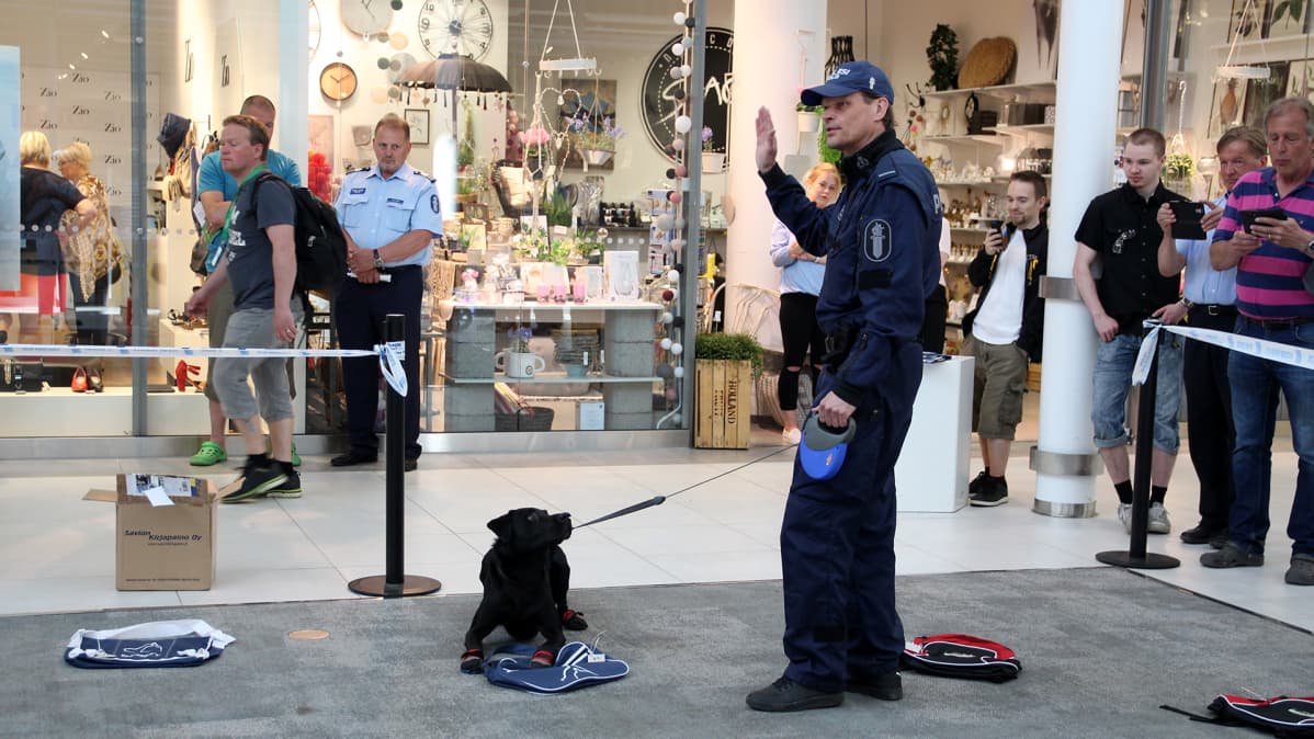 Sami Hämäläinen ja Sepe