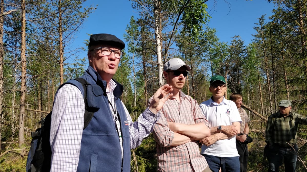Tykkylumituhoja Kainuun metsissä. Etualalla Metsäkeskuksen valmiuspäällikkö Yrjö Niskanen.
