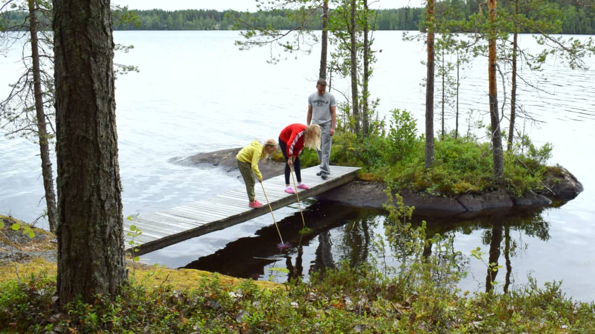 Natusen perheen lapset etsivät rannasta pikkukaloja.