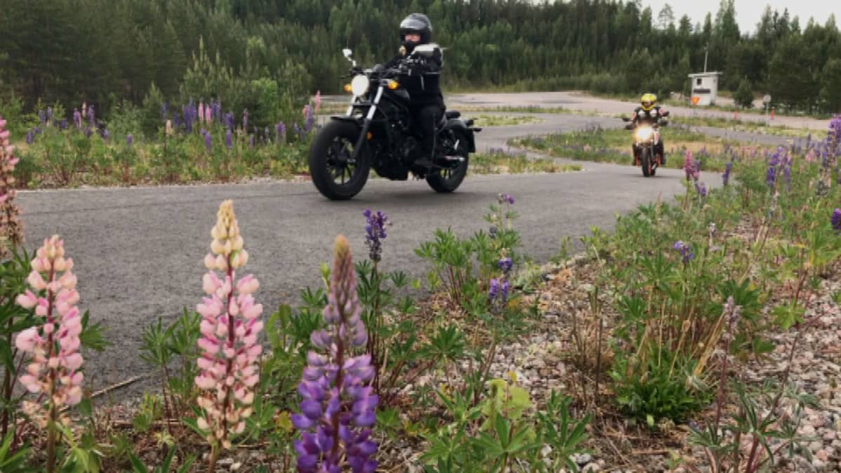 motoristi Rita Lönn
