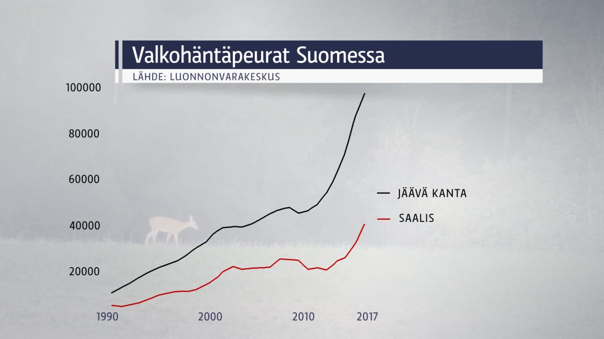 Valkohäntäpeurat Suomessa