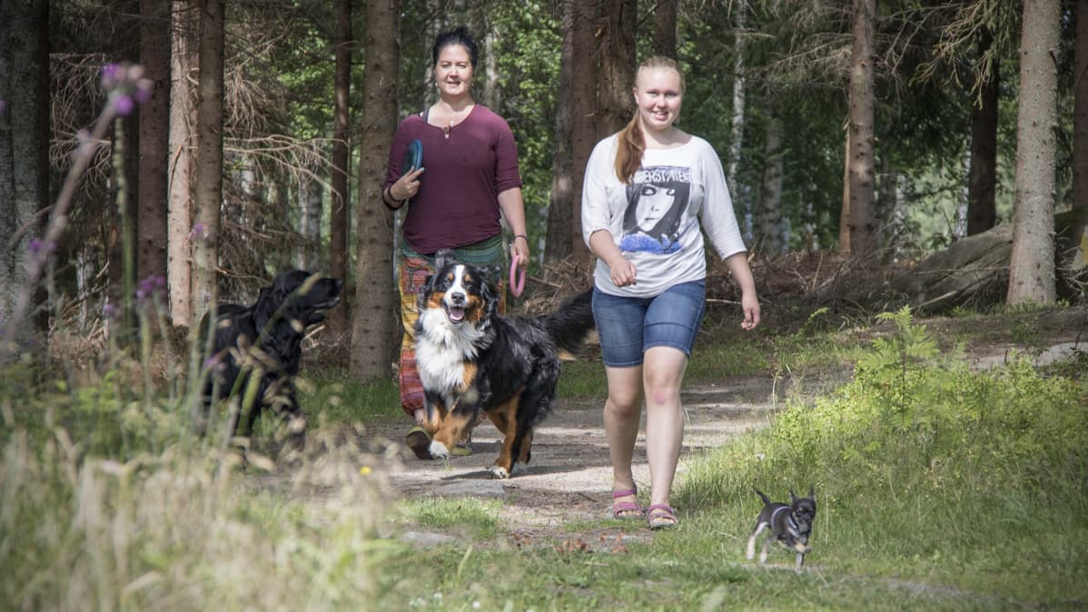 Katja Havukainen ja Venla Piiranen sekä kolme koiraa kävelyllä.