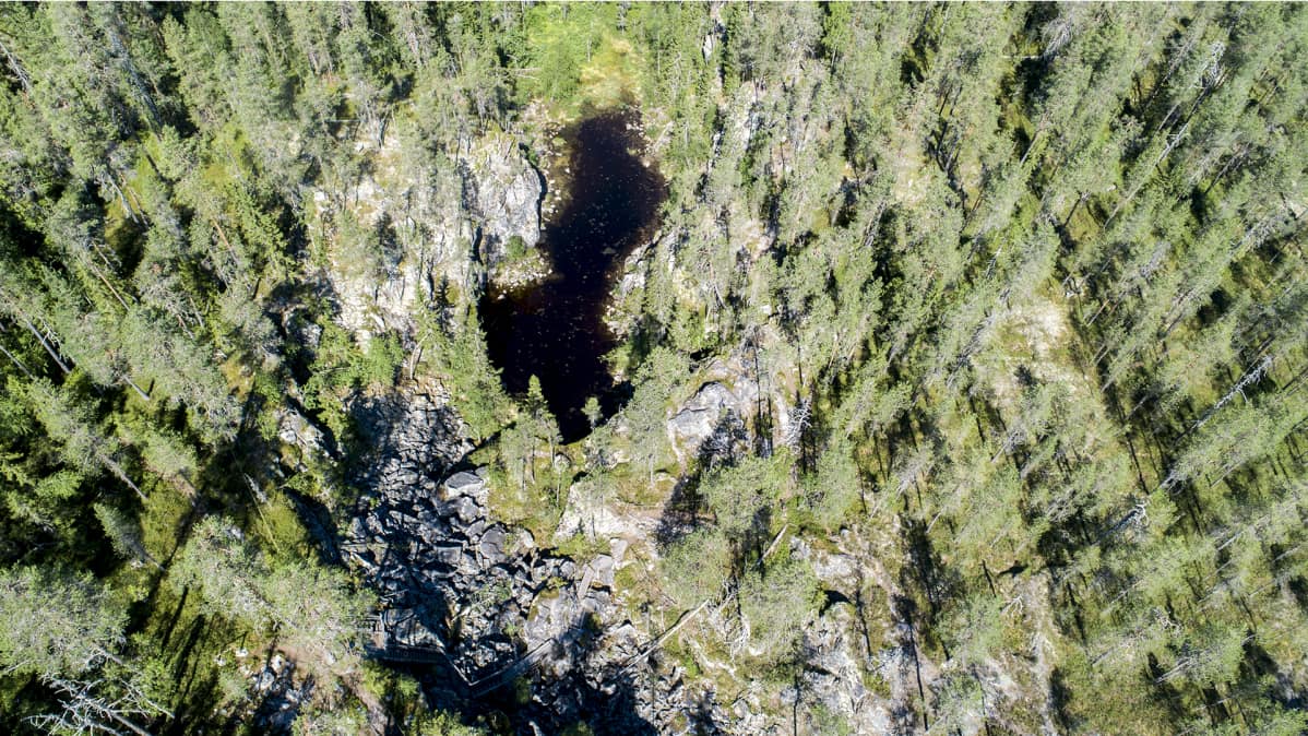 Kansallispuisto ylhäältä päin kuvattuna.