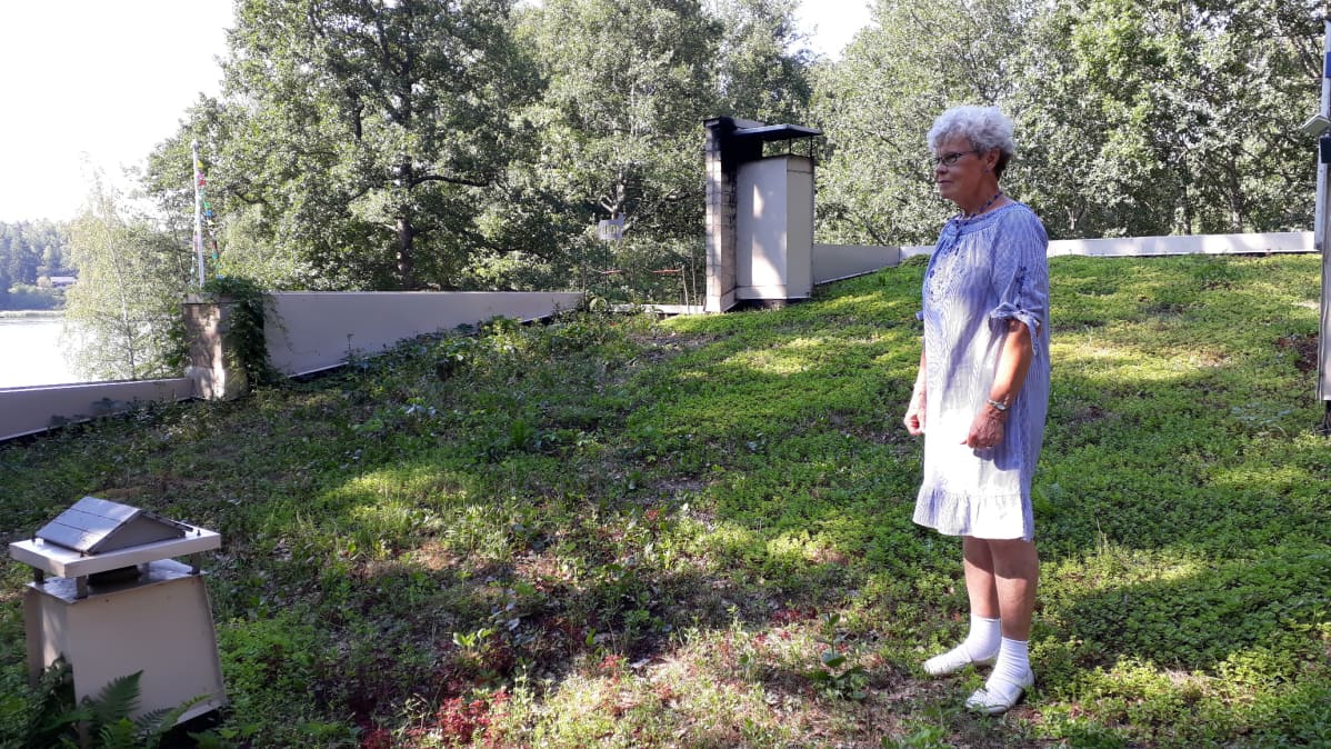 Leena Suomisen viherkatto