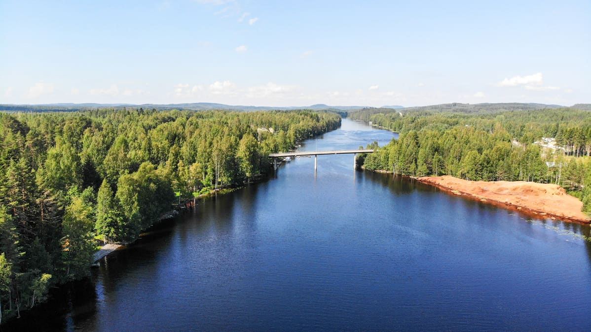 metsää ja järveä