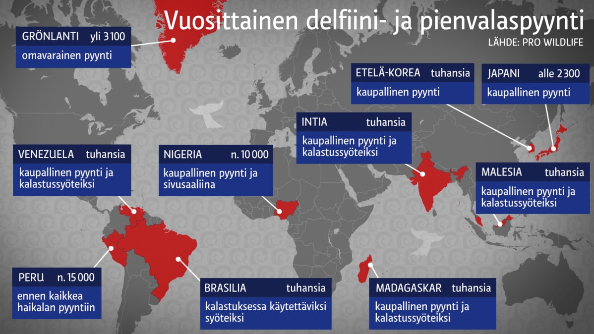 Delfiinin- ja valaanpyytäjämaat kartalla