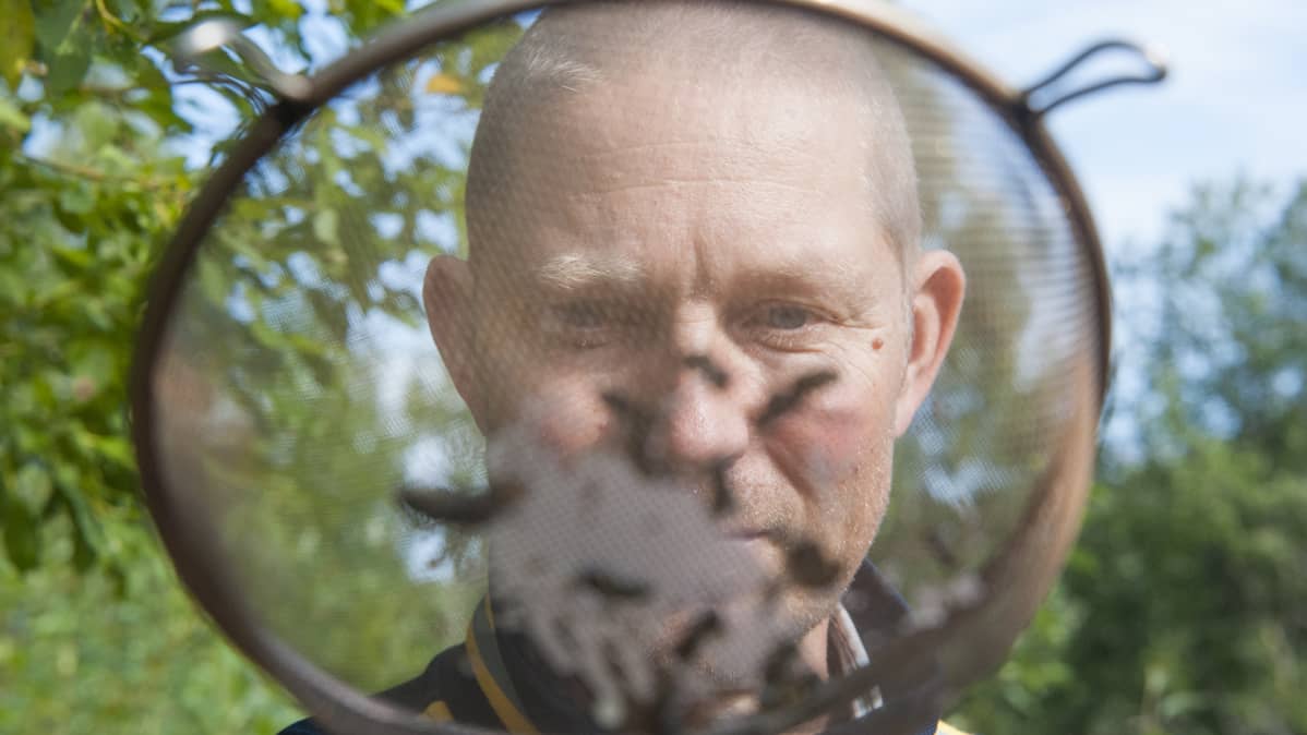 Apulaisprofessori Jouni Sorvari Itä-Suomen yliopisto