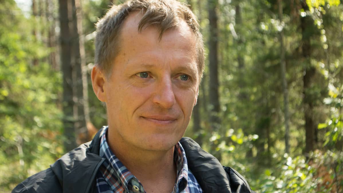 Suomen Metsäkeskuksen johtava metsänhoidon asiantuntija Markku Remes.