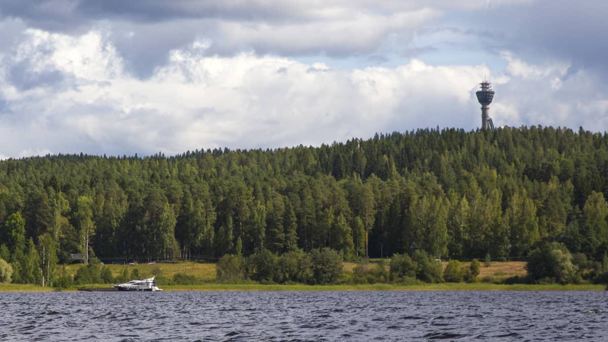 Kallaveden ranta ja Puijon torni.