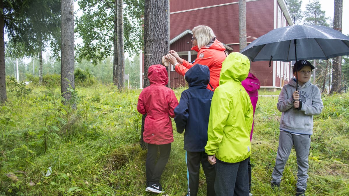 Koululaiset saavat oman nimikkopuun Halipuistosta.