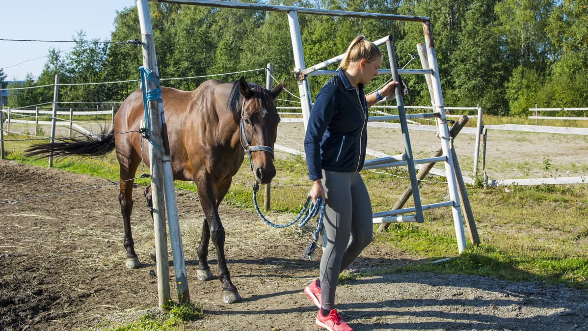 Uimari Jenna Laukkanen hakee hevosta ulkotarhasta.