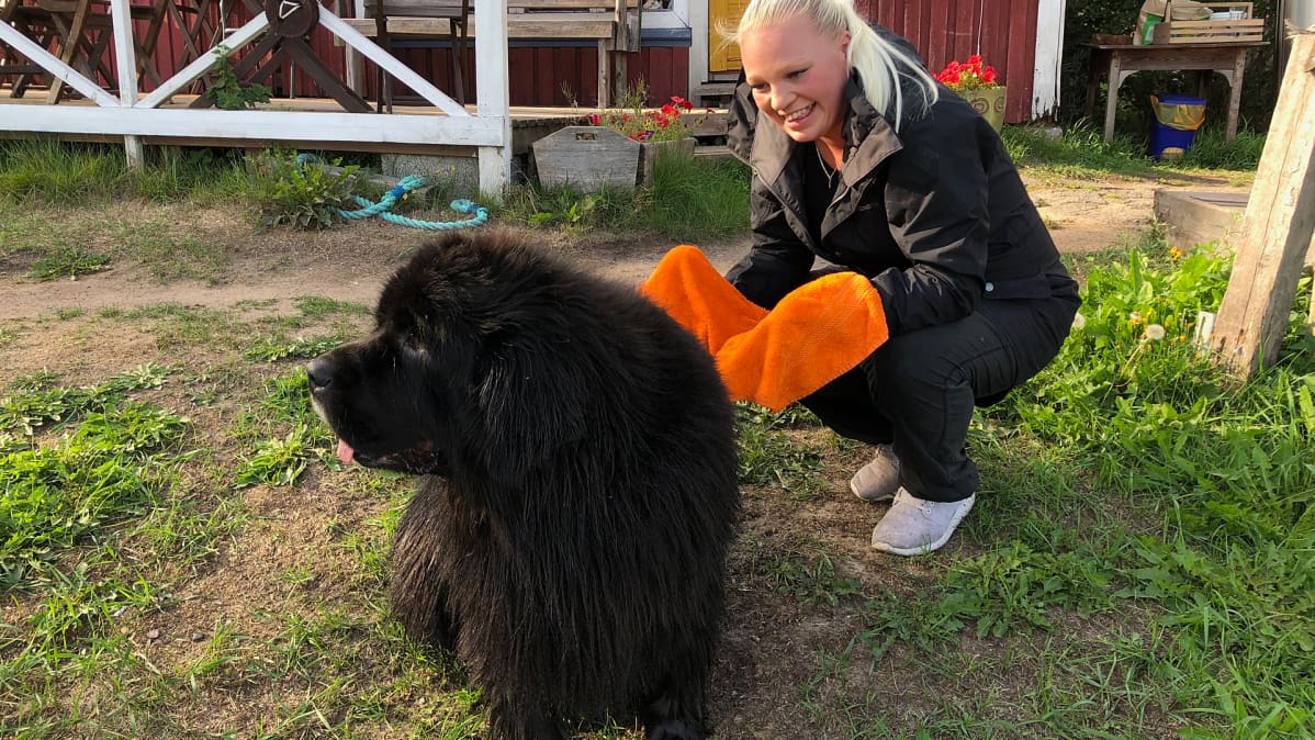 Kuvassa nainen ja koira