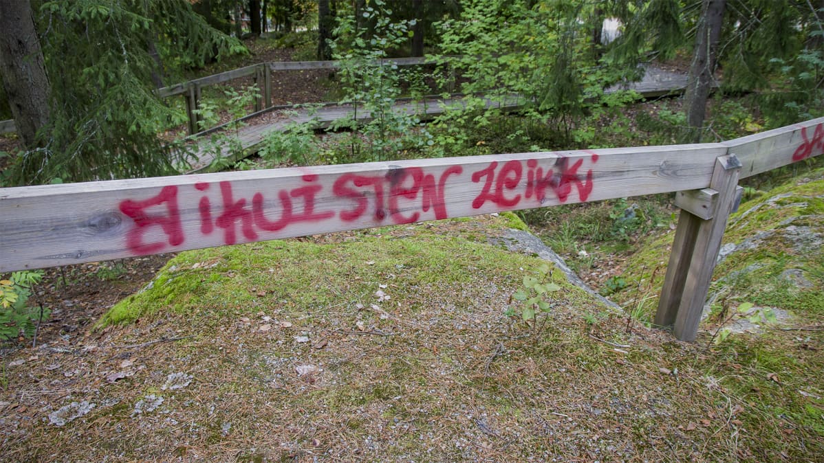 Aikuisten leikkipuisto