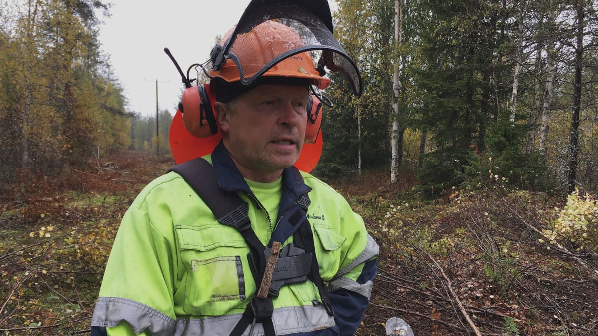 Metsuri Seppo Karjalainen