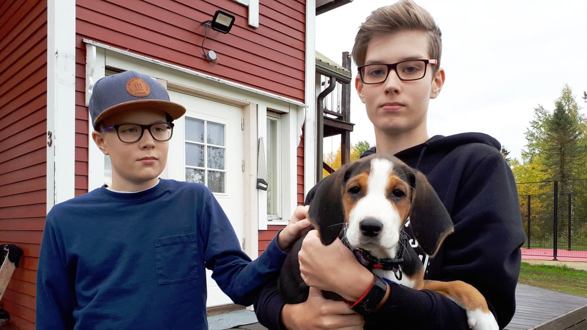 Manu ja Niko Ojala suomenajokoiranpennun kanssa.