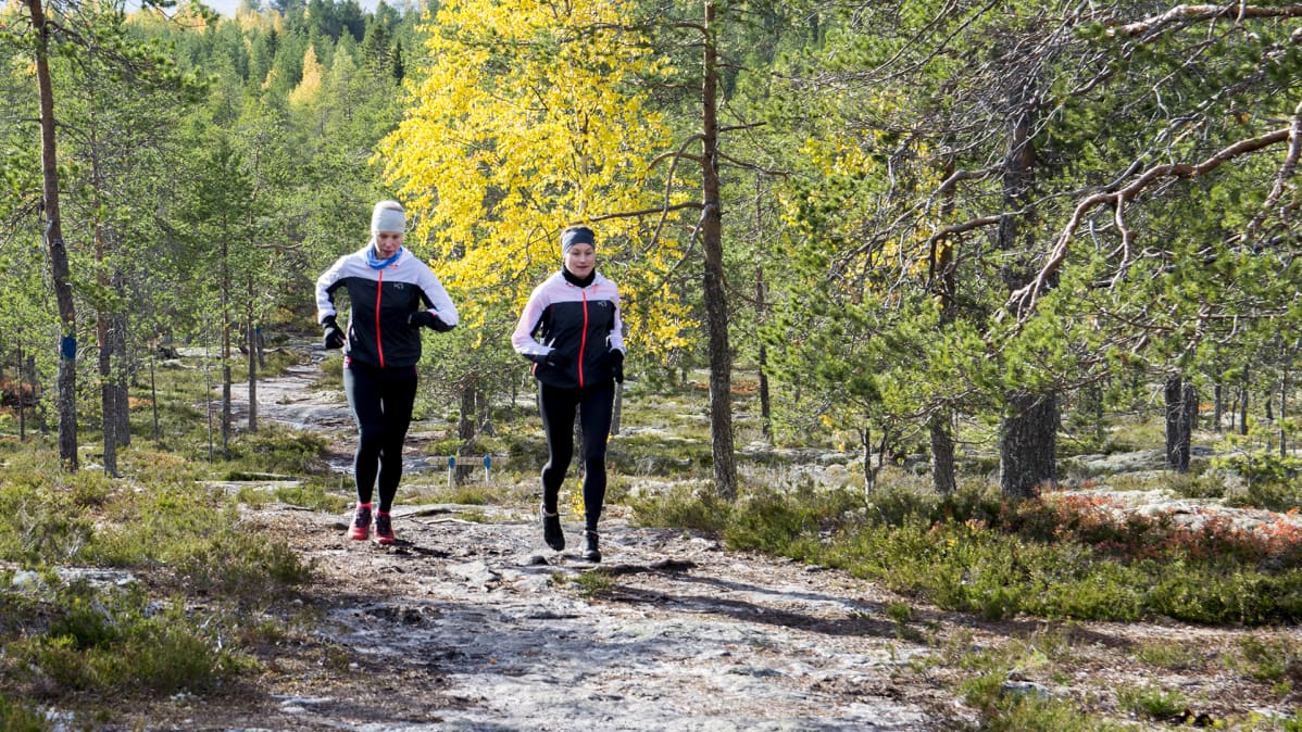 Kaksi naista juoksee metsäpolulla.