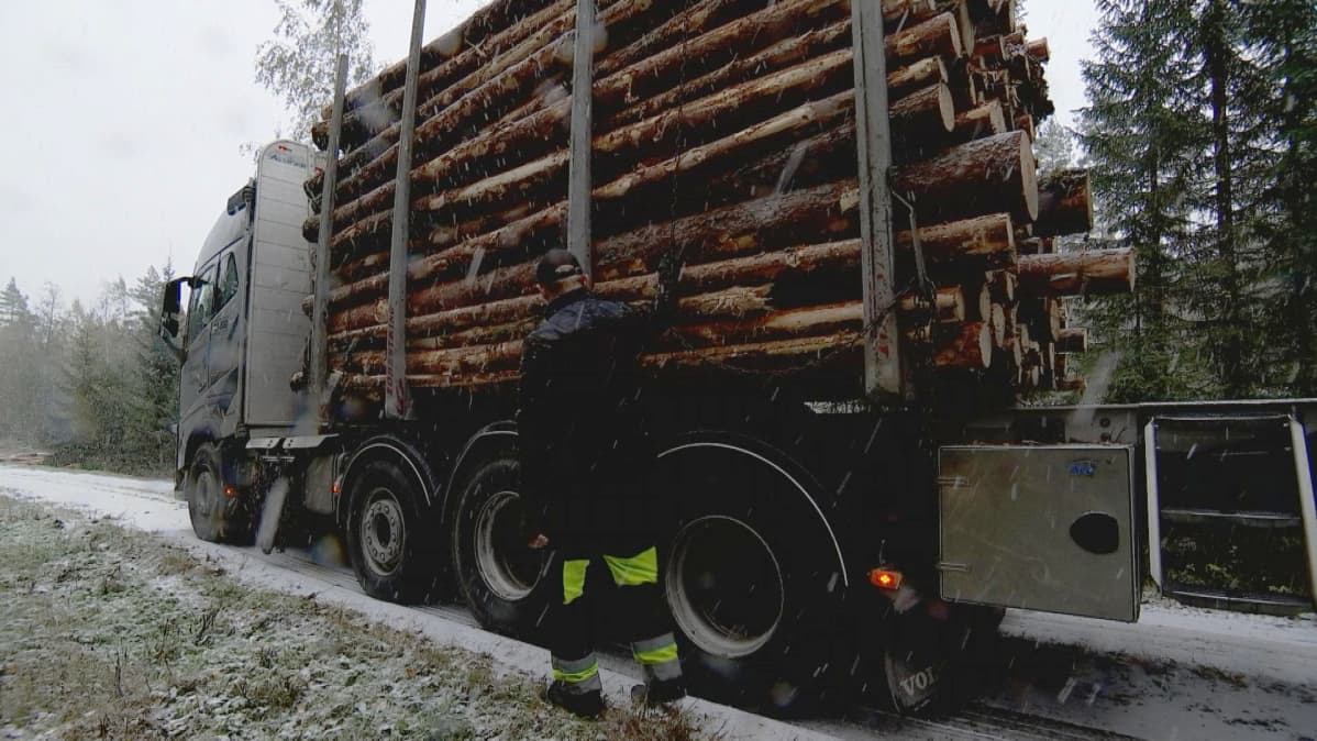 Tukkirekka liukkaalla tiellä.