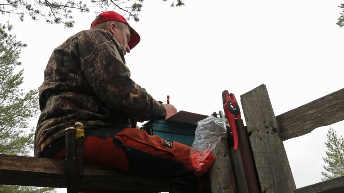 Jarmo Kynkäänniemi kirjaa poroerotusta Huiskan aidalla Pudasjärvellä 2018.