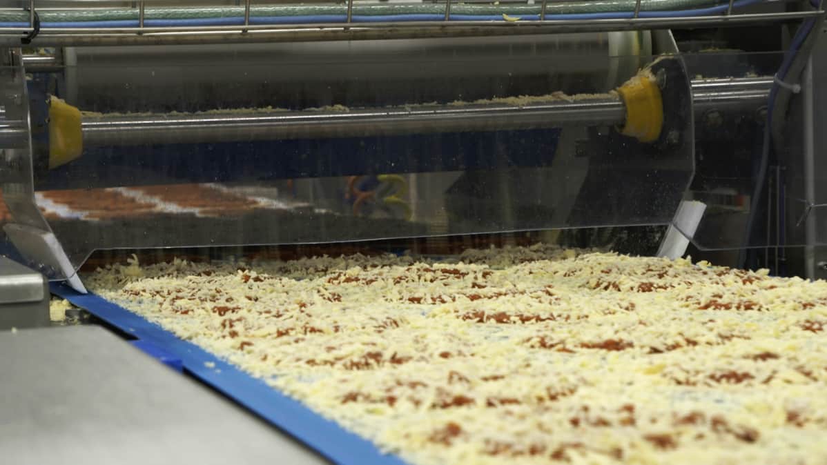 Saarioisten Valkeakosken tehtaan pizzalinjan juustonripottelija käynnissä.