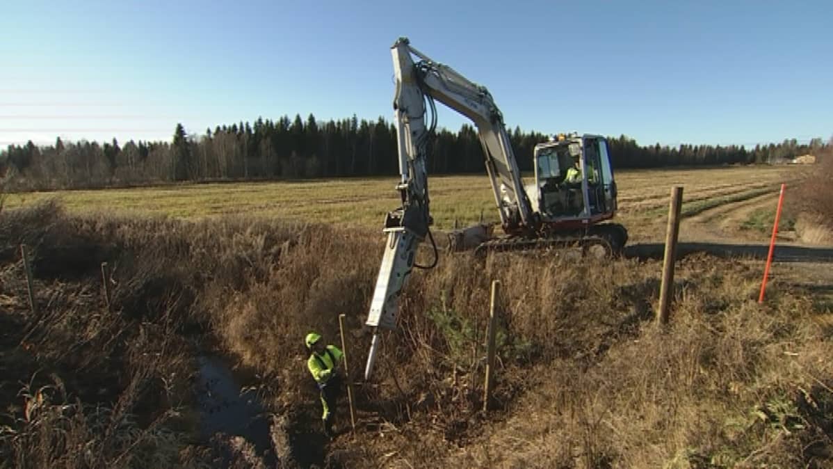 Ruotsalaisen yhtiön työntekijät rakentavat aitaa Muurolan eteläpuolella.