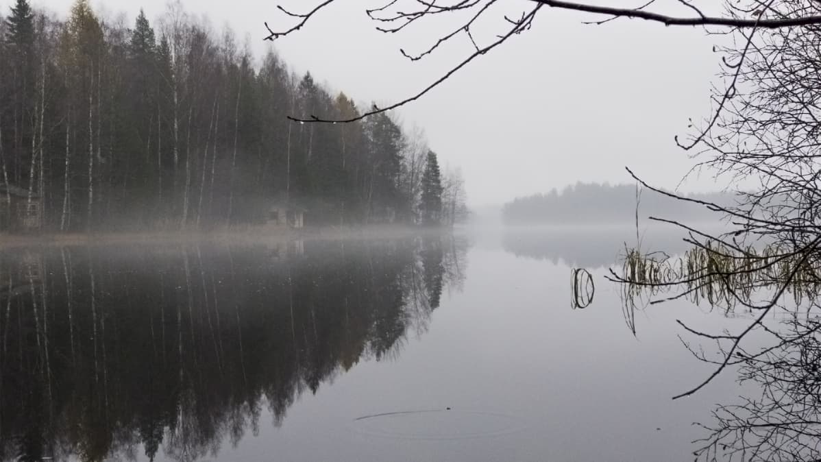 Hervantajärvi