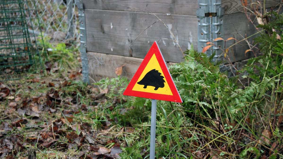 Siilihoitolan pihamaalla on siilien horrospesien edessä siilivaara-liikennemerkki.