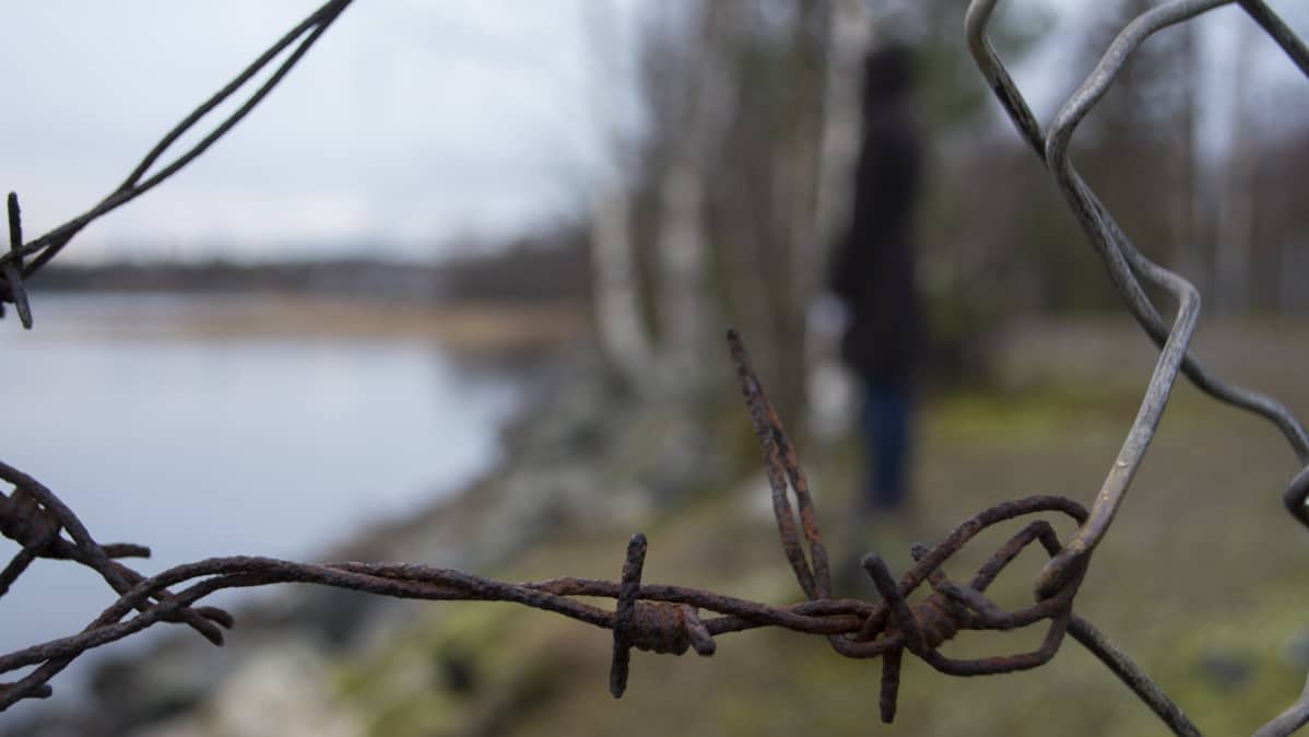 Piikkilanka.