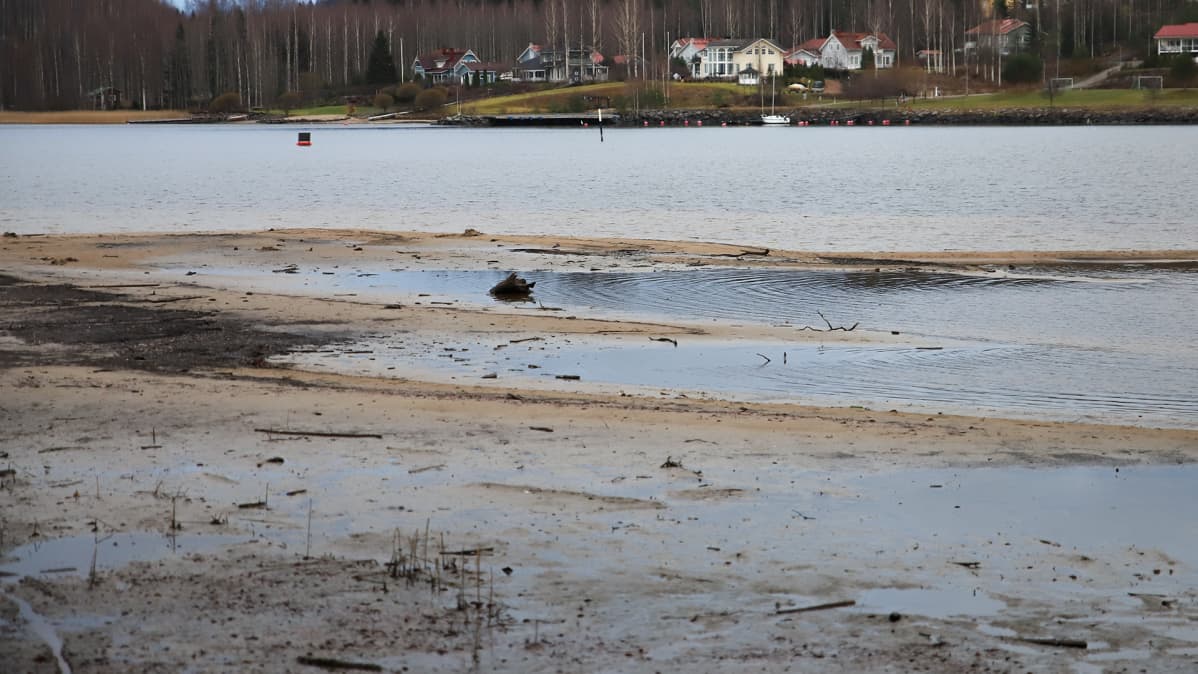 Päijänteen rantaa ja omakotitaloja.
