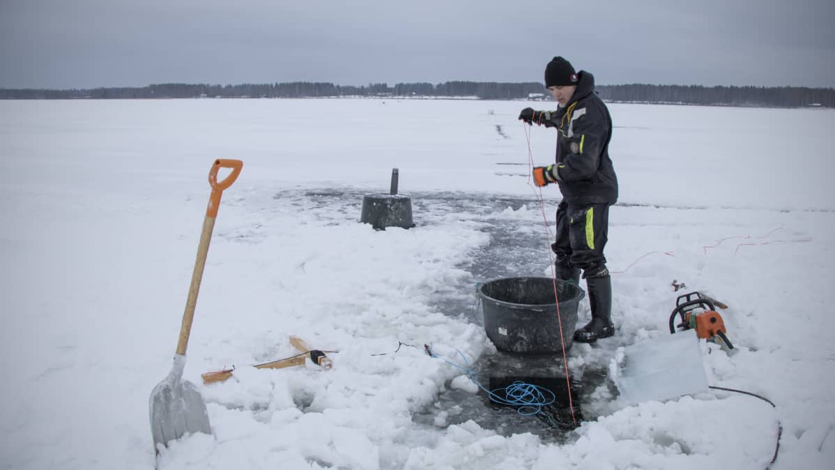 Kalastaja talviverkoilla.