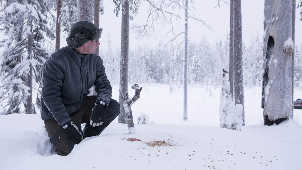Mies on ruokkimassa lintuja lumisessa metsässä.