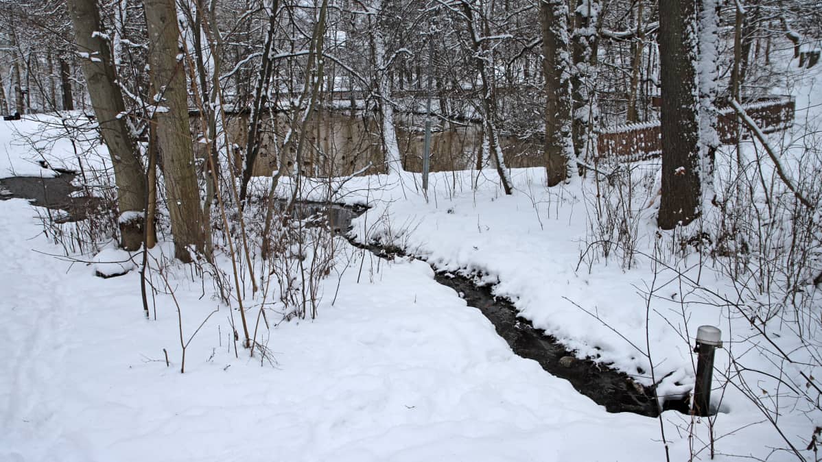 Tahmelan lähde