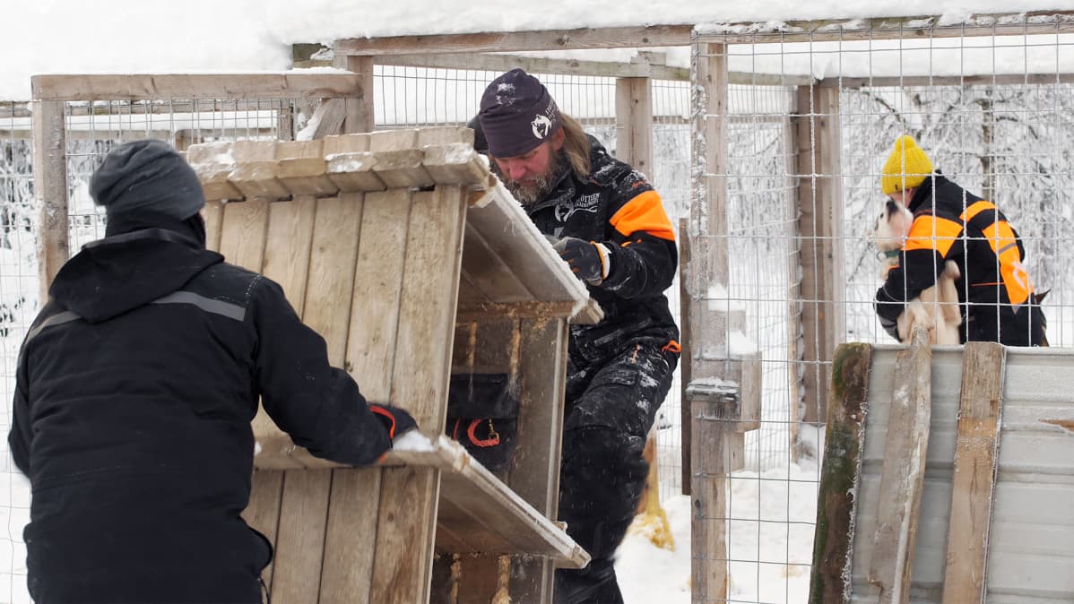 Huskyt saavat omat koppinsa myös uuteen tarhaan Rovaniemelle.