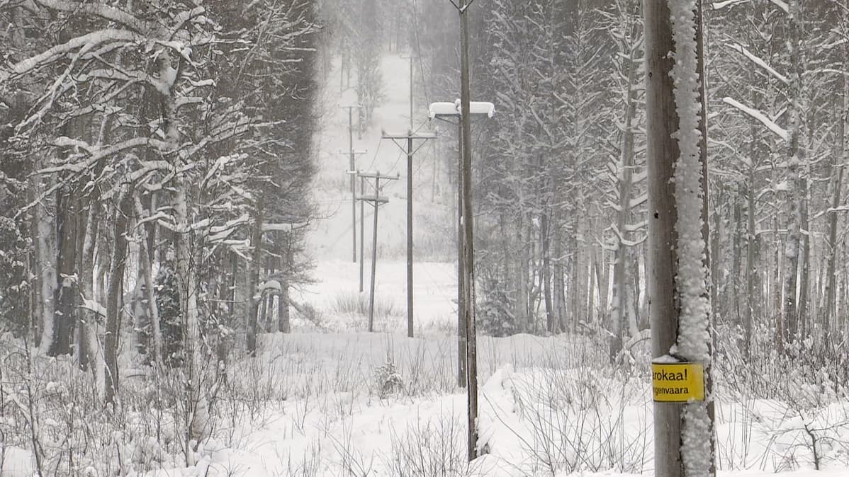 sähkölinja metsässä johtoaukko