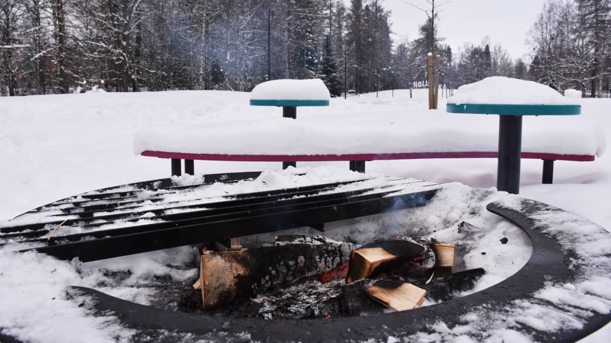 Kuvassa tuli nuotiopaikalla puistossqa