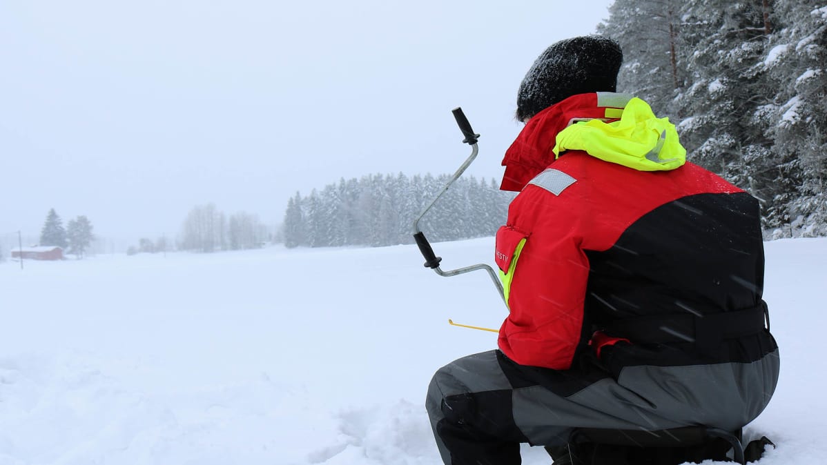 Pilkkijä pellolla