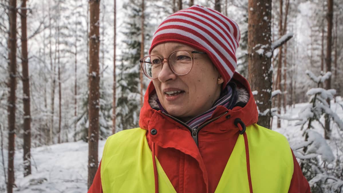 Metsäalan asiantuntija.