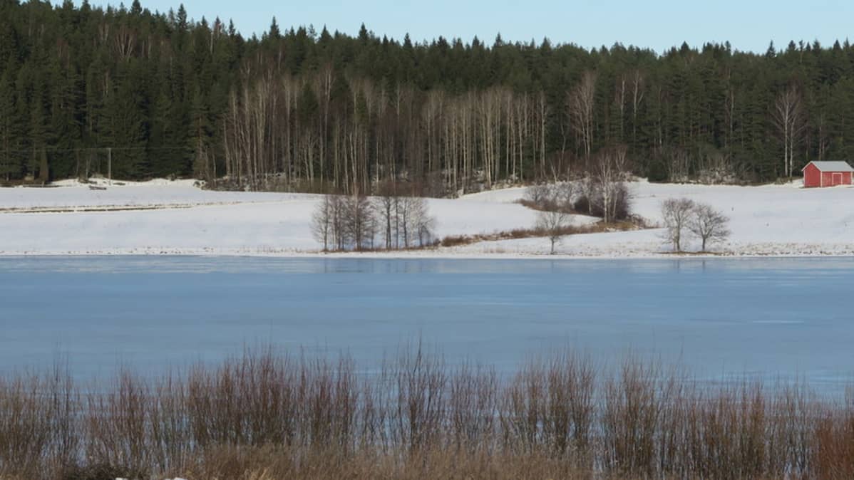 Järvimaisema