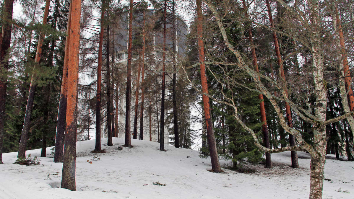 Talvinen puisto vesitorni taustalla