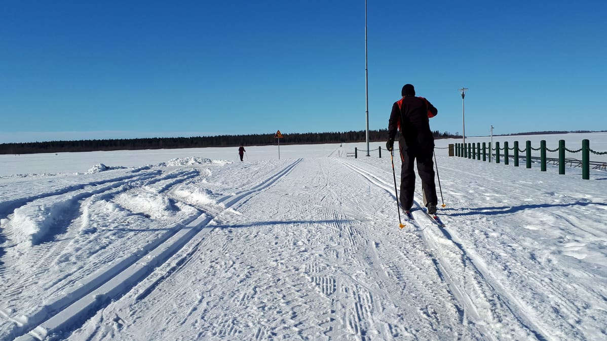 Hiihtäjä Kemin meriladulla