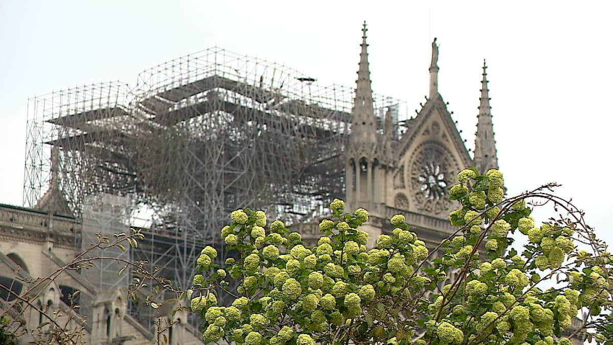Notre Dame