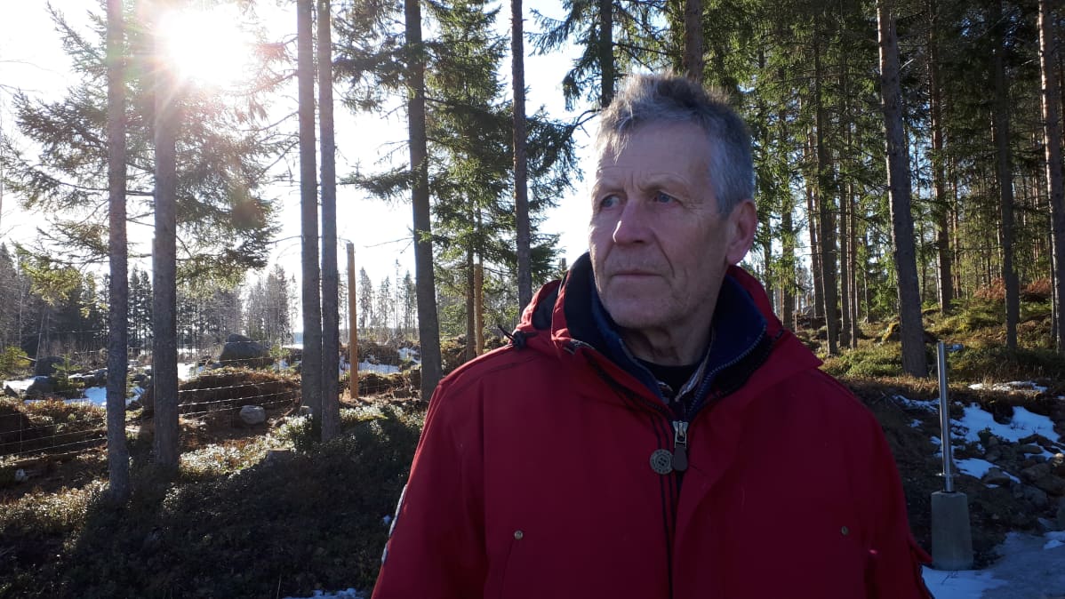 Villieläinhoitaja Markku Harju.